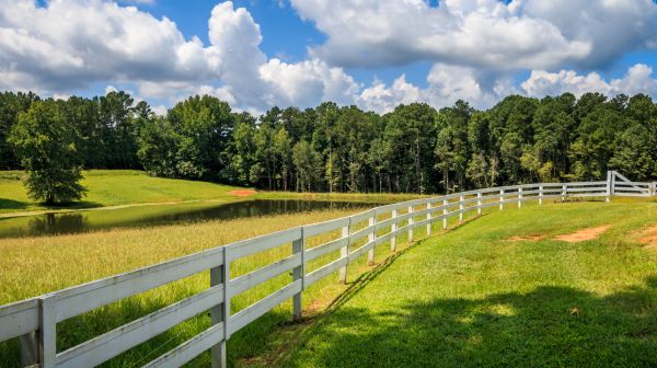 Fence Rail Repair Service