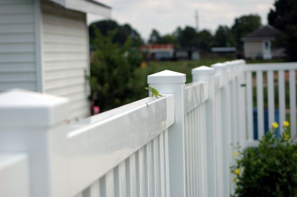 Fence Realignment
