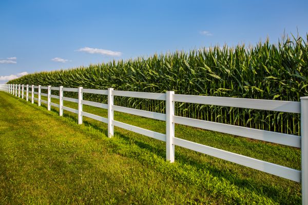 Rail Fence Repair Service