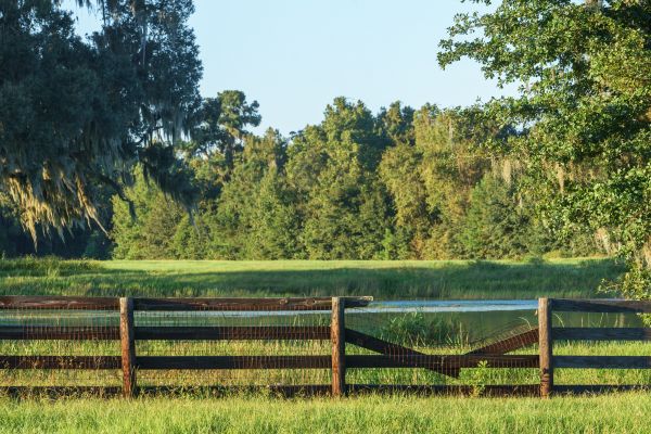 Ranch Fence Repair Service
