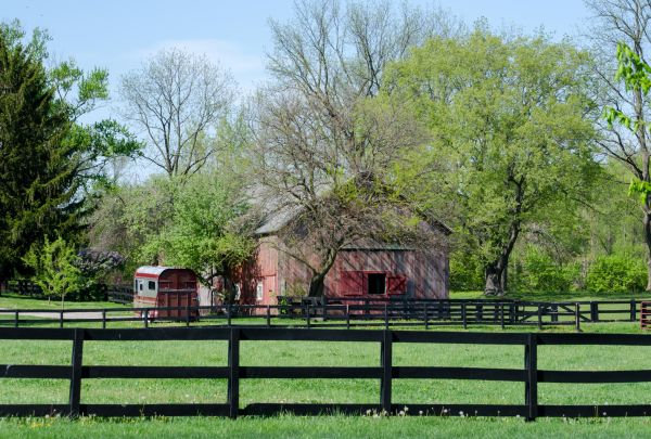 Horse Paddock Repair Service