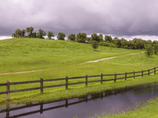 Split Rail Fence Repair Service